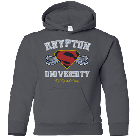 Sweatshirts Charcoal / YS Krypton University Youth Hoodie