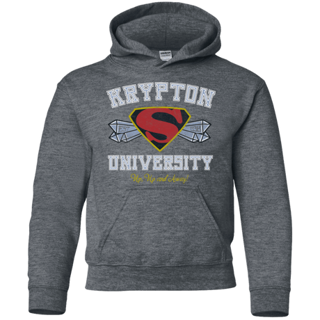 Sweatshirts Dark Heather / YS Krypton University Youth Hoodie