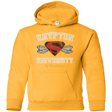 Sweatshirts Gold / YS Krypton University Youth Hoodie