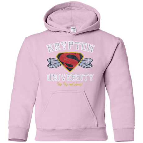 Sweatshirts Light Pink / YS Krypton University Youth Hoodie