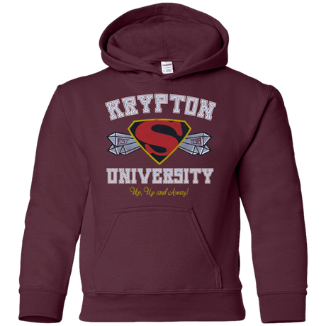 Sweatshirts Maroon / YS Krypton University Youth Hoodie