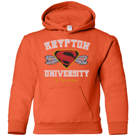 Sweatshirts Orange / YS Krypton University Youth Hoodie