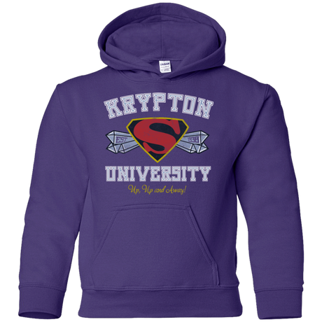 Sweatshirts Purple / YS Krypton University Youth Hoodie