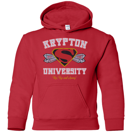 Sweatshirts Red / YS Krypton University Youth Hoodie