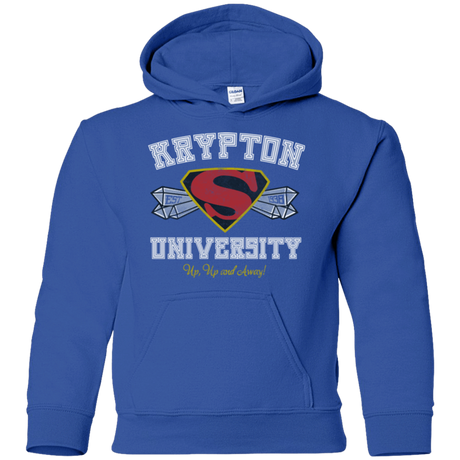 Sweatshirts Royal / YS Krypton University Youth Hoodie