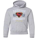 Sweatshirts Sport Grey / YS Krypton University Youth Hoodie