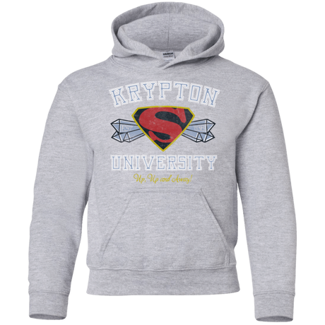 Sweatshirts Sport Grey / YS Krypton University Youth Hoodie