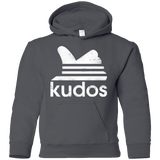 Sweatshirts Charcoal / YS Kudos Youth Hoodie