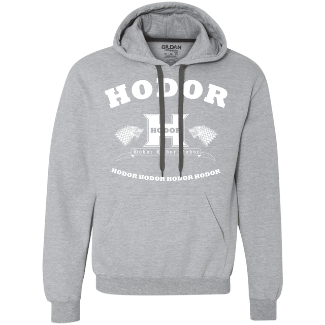 Sweatshirts Sport Grey / S Language Academy Premium Fleece Hoodie