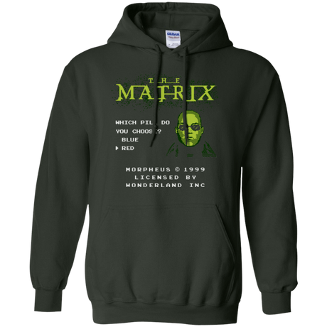 Sweatshirts Forest Green / Small Last chance Pullover Hoodie