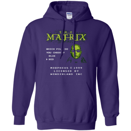 Sweatshirts Purple / Small Last chance Pullover Hoodie