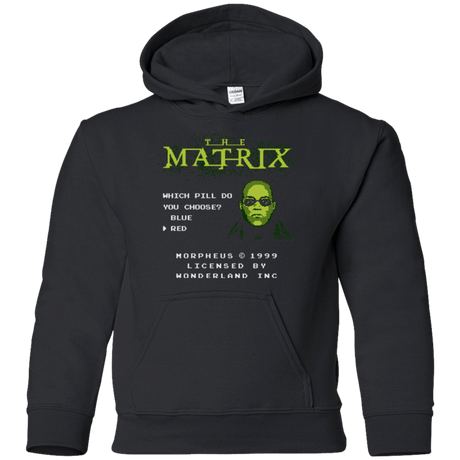 Sweatshirts Black / YS Last chance Youth Hoodie