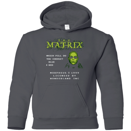 Sweatshirts Charcoal / YS Last chance Youth Hoodie