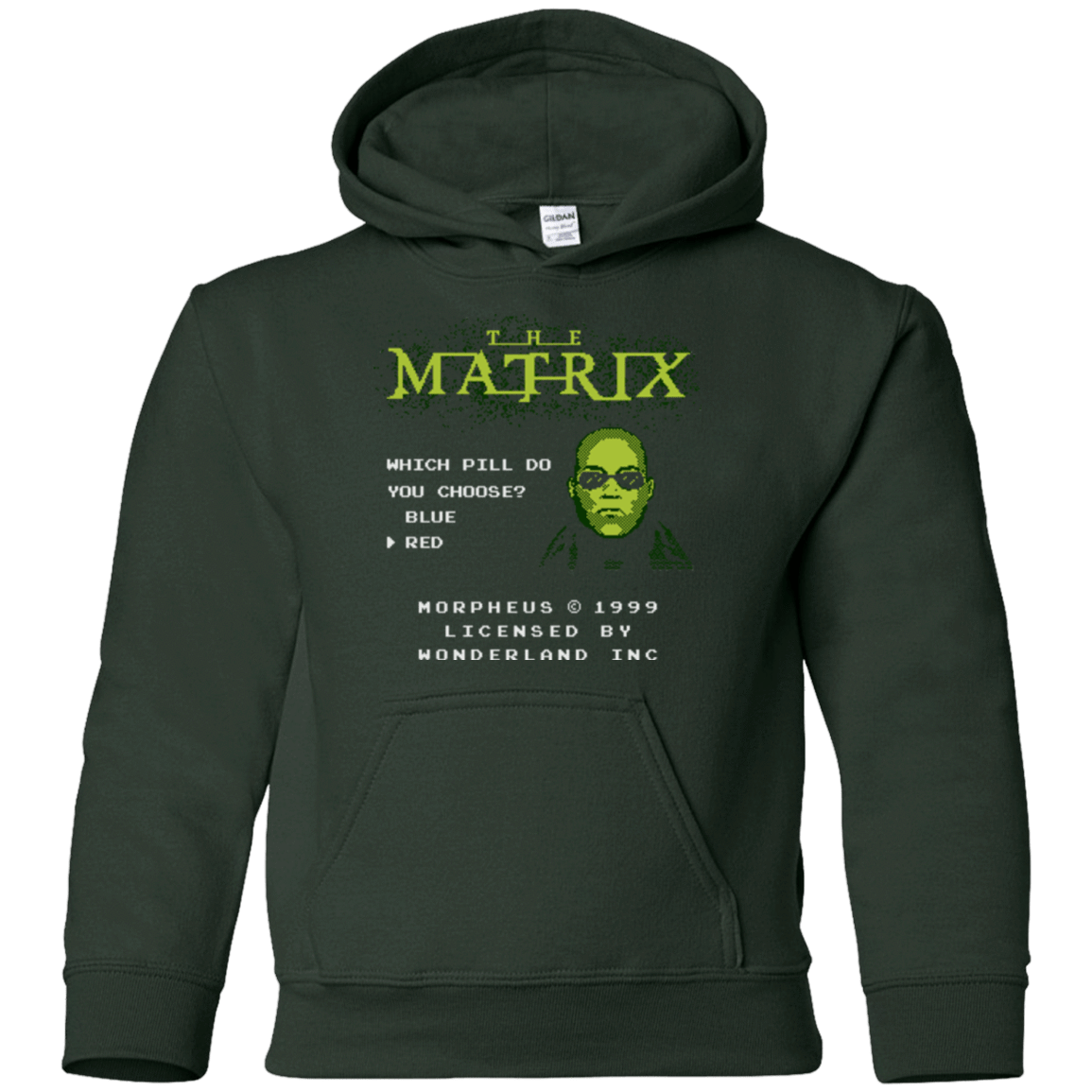 Sweatshirts Forest Green / YS Last chance Youth Hoodie