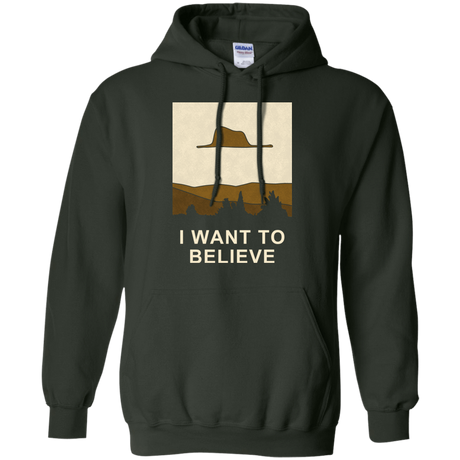 Sweatshirts Forest Green / Small Le petit believer Pullover Hoodie