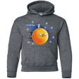Sweatshirts Dark Heather / YS Le Petit Finn Youth Hoodie