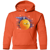 Sweatshirts Orange / YS Le Petit Finn Youth Hoodie