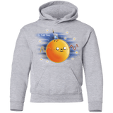 Sweatshirts Sport Grey / YS Le Petit Finn Youth Hoodie