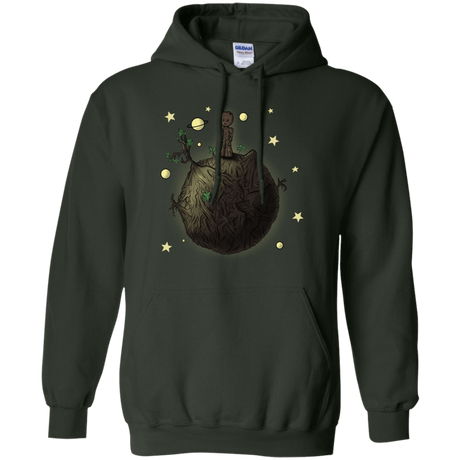 Sweatshirts Forest Green / S Le Petit Groot Pullover Hoodie