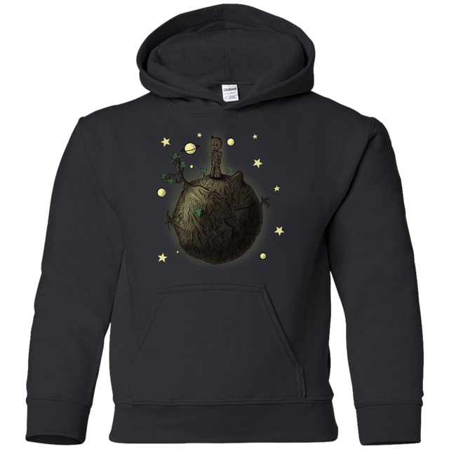 Sweatshirts Black / YS Le Petit Groot Youth Hoodie