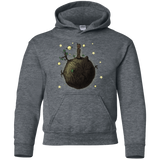 Sweatshirts Dark Heather / YS Le Petit Groot Youth Hoodie