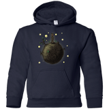 Sweatshirts Navy / YS Le Petit Groot Youth Hoodie