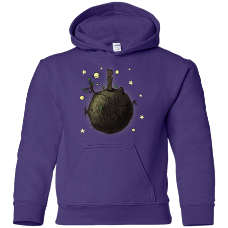 Sweatshirts Purple / YS Le Petit Groot Youth Hoodie