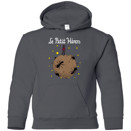 Sweatshirts Charcoal / YS Le Petit Héros Youth Hoodie