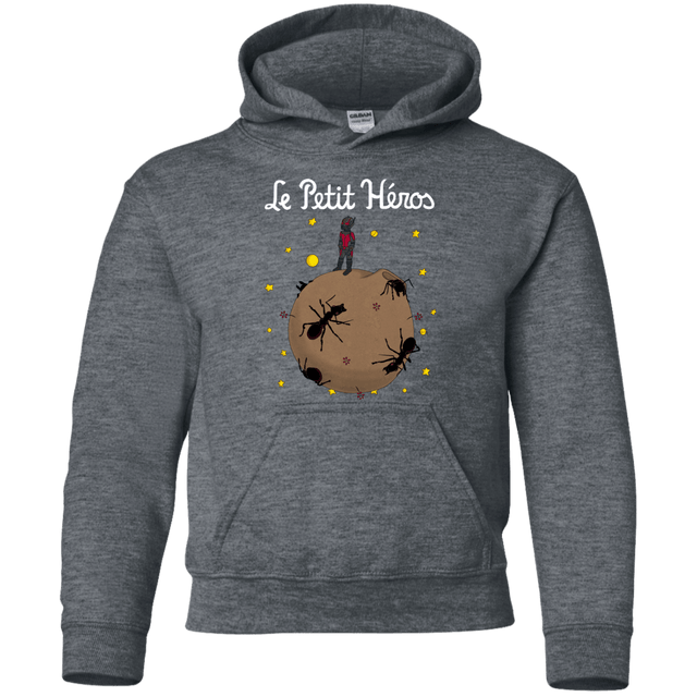 Sweatshirts Dark Heather / YS Le Petit Héros Youth Hoodie