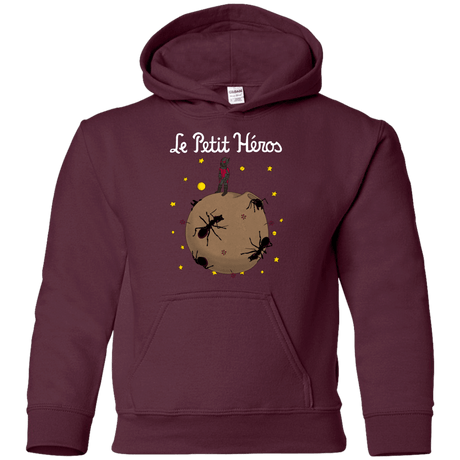 Sweatshirts Maroon / YS Le Petit Héros Youth Hoodie
