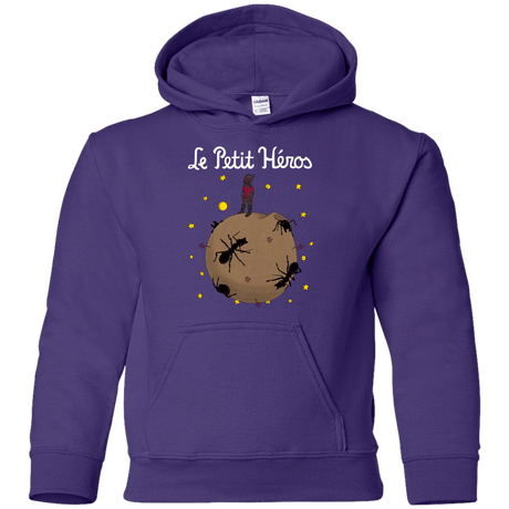 Sweatshirts Purple / YS Le Petit Héros Youth Hoodie