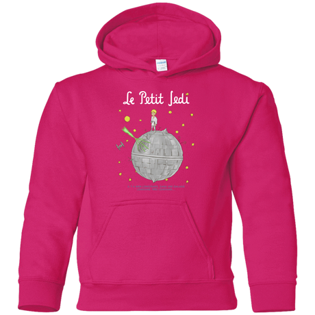 Sweatshirts Heliconia / YS Le Petit Jedi Youth Hoodie
