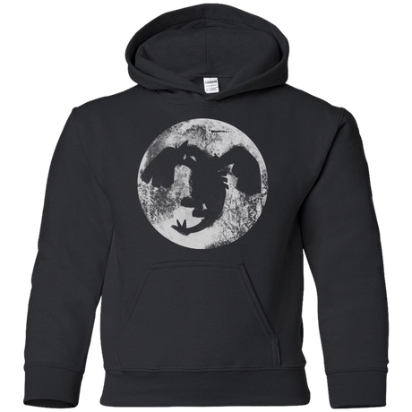 Sweatshirts Black / YS Legends Power Youth Hoodie