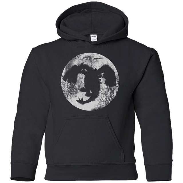 Sweatshirts Black / YS Legends Power Youth Hoodie