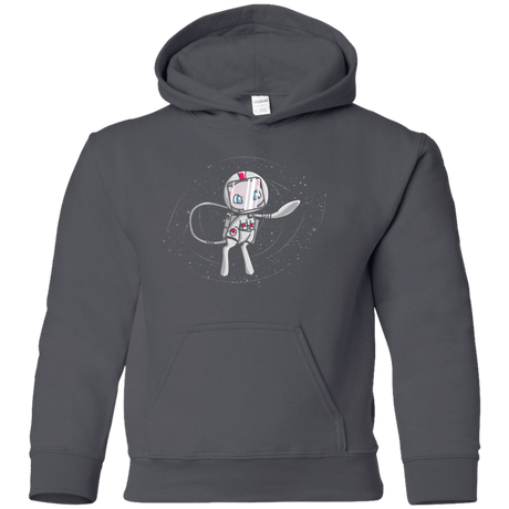 Sweatshirts Charcoal / YS LIFE IN SPACE Youth Hoodie