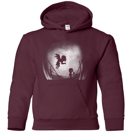 Sweatshirts Maroon / YS Light in Limbo Youth Hoodie