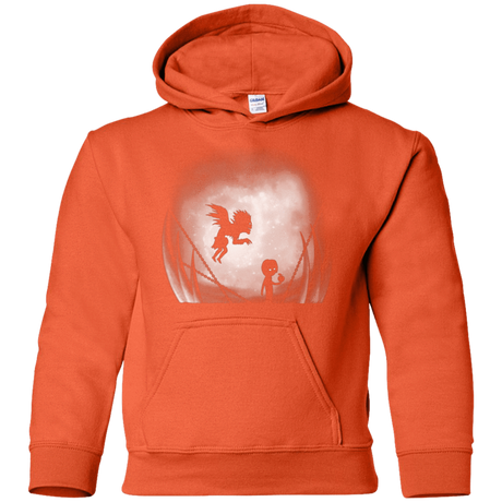 Sweatshirts Orange / YS Light in Limbo Youth Hoodie