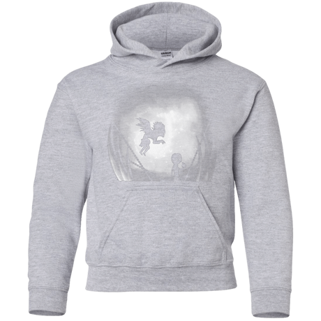 Sweatshirts Sport Grey / YS Light in Limbo Youth Hoodie