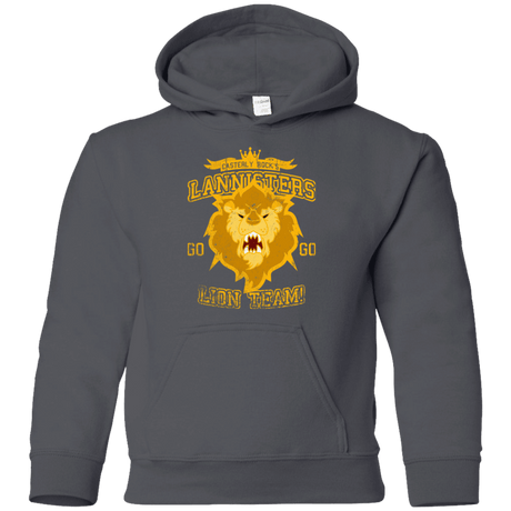Sweatshirts Charcoal / YS Lion Team Youth Hoodie