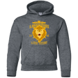 Sweatshirts Dark Heather / YS Lion Team Youth Hoodie