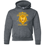 Sweatshirts Dark Heather / YS Lion Team Youth Hoodie
