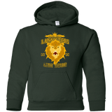 Sweatshirts Forest Green / YS Lion Team Youth Hoodie