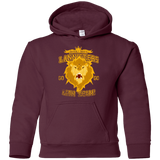 Sweatshirts Maroon / YS Lion Team Youth Hoodie