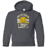 Sweatshirts Charcoal / YS Lions Youth Hoodie
