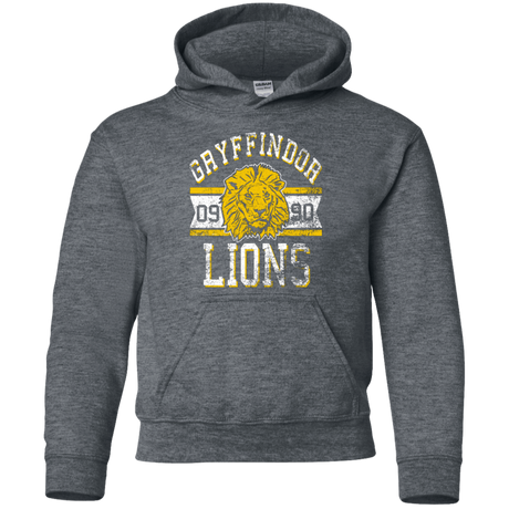 Sweatshirts Dark Heather / YS Lions Youth Hoodie