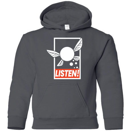Sweatshirts Charcoal / YS LISTEN! Youth Hoodie