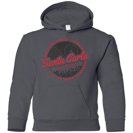 Sweatshirts Charcoal / YS Living in Santa Carla Youth Hoodie