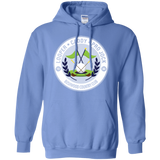 Sweatshirts Carolina Blue / Small Looper Pullover Hoodie