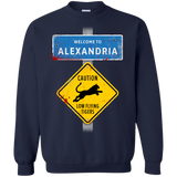 Sweatshirts Navy / Small Low Flying Tigers Crewneck Sweatshirt