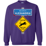 Sweatshirts Purple / Small Low Flying Tigers Crewneck Sweatshirt